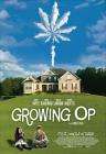 我家种大麻Growing Op