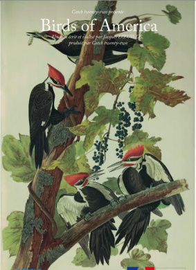 美国鸟类Birds of America