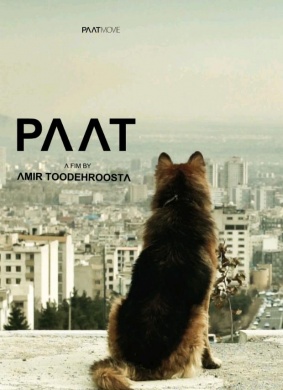 狗PAAT