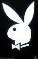 花花帝国Playboy