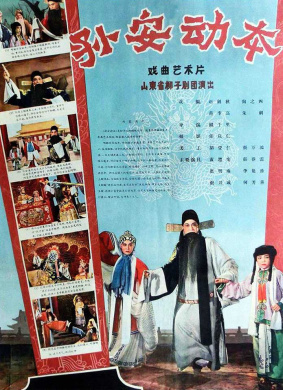 孙安动本